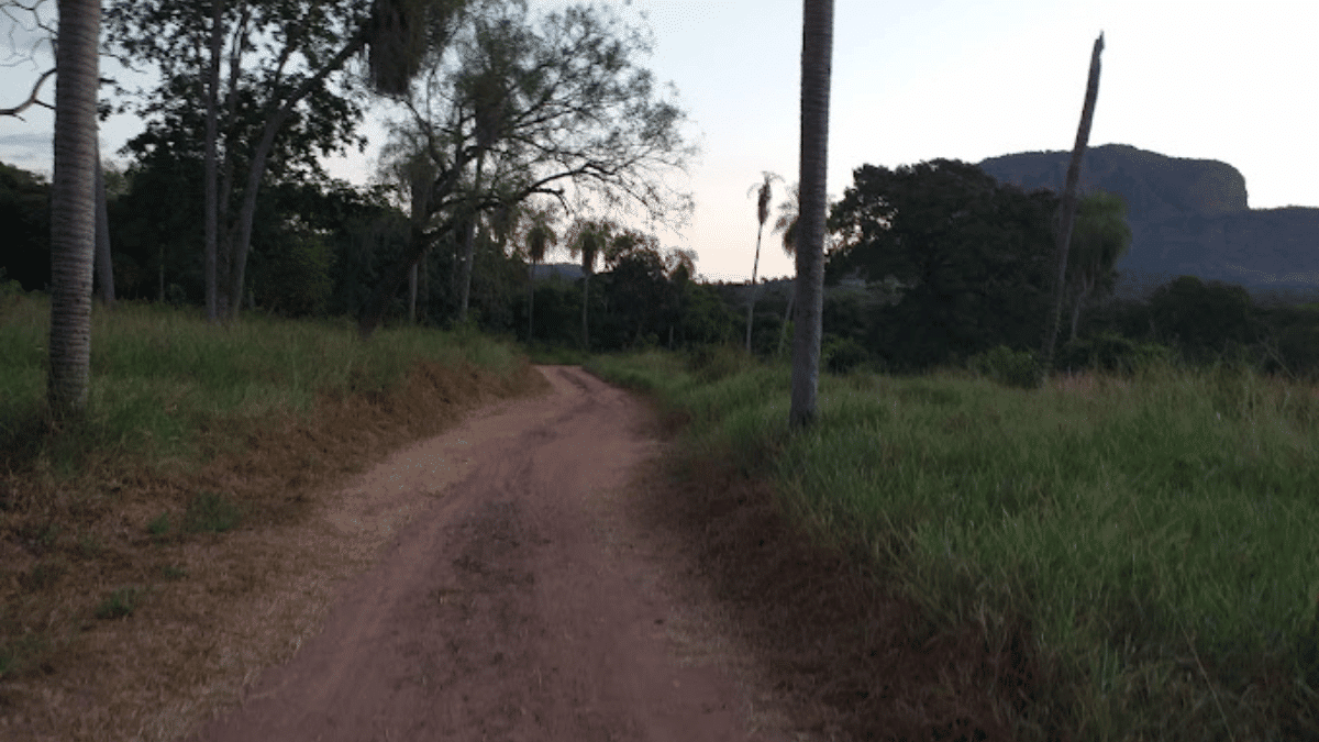 trilha Rancho do Ely 3