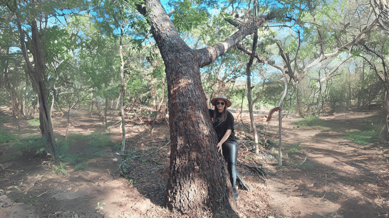 Rancho do ely copaíba