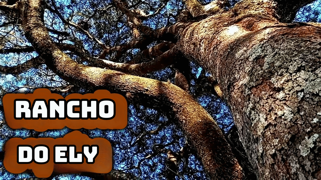 Rancho do ely copaíba